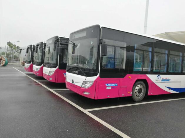 E Bus Fleet